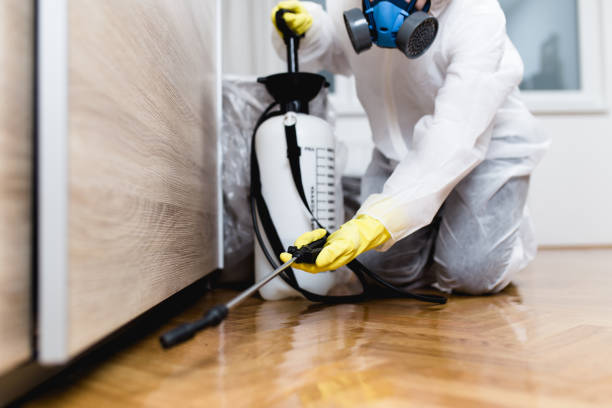 Best Pest Prevention Services  in Edwardsville, KS