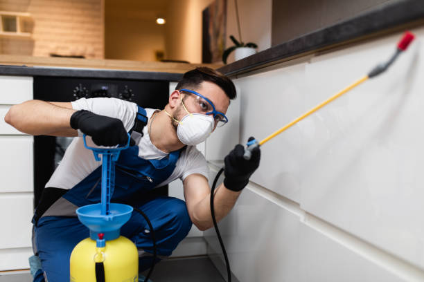 Best Wildlife Control Services  in Edwardsville, KS