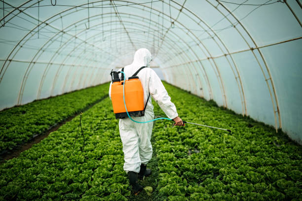 Best Best Pest Control Near Me  in Edwardsville, KS