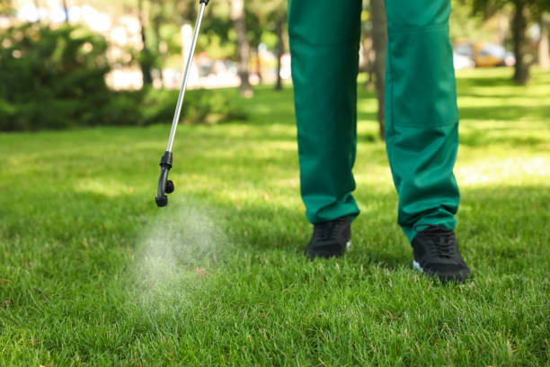 Best Wasp Removal Services  in Edwardsville, KS