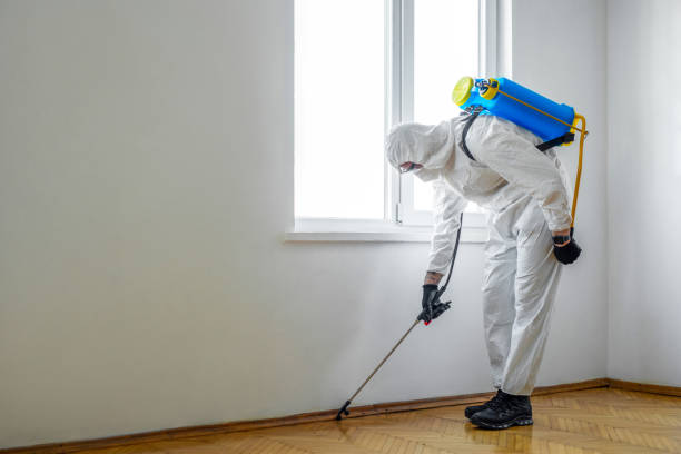 Best Cockroach Control Services  in Edwardsville, KS