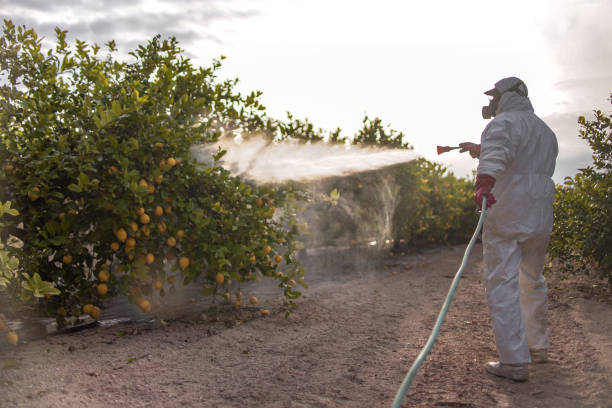Best Pest Removal Services  in Edwardsville, KS