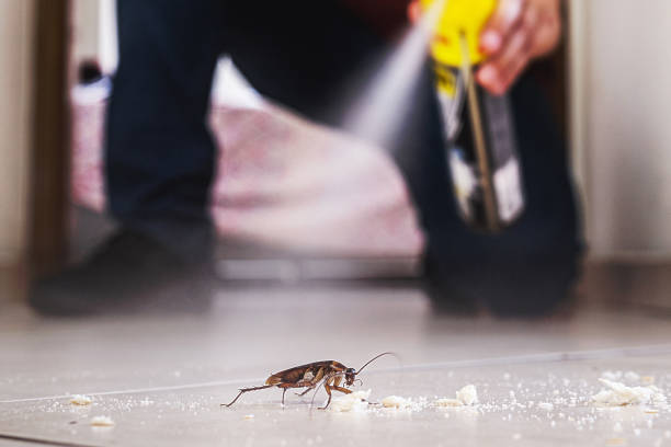 Best Pest Control Near Me in Edwardsville, KS